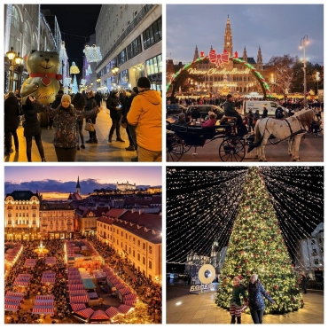 Targul de Craciun Budapesta - Viena | Hotel Ibis 3* - 4 zile - Autocar | 2025