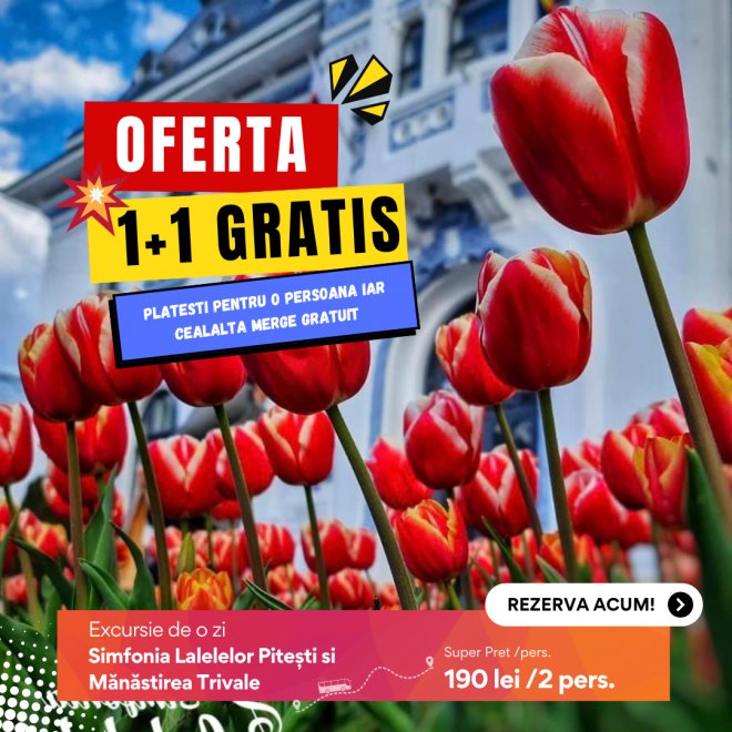 Oferta 1+1 Gratis: Excursie de o zi - Simfonia Lalelelor Pitești si Mănăstirea Trivale