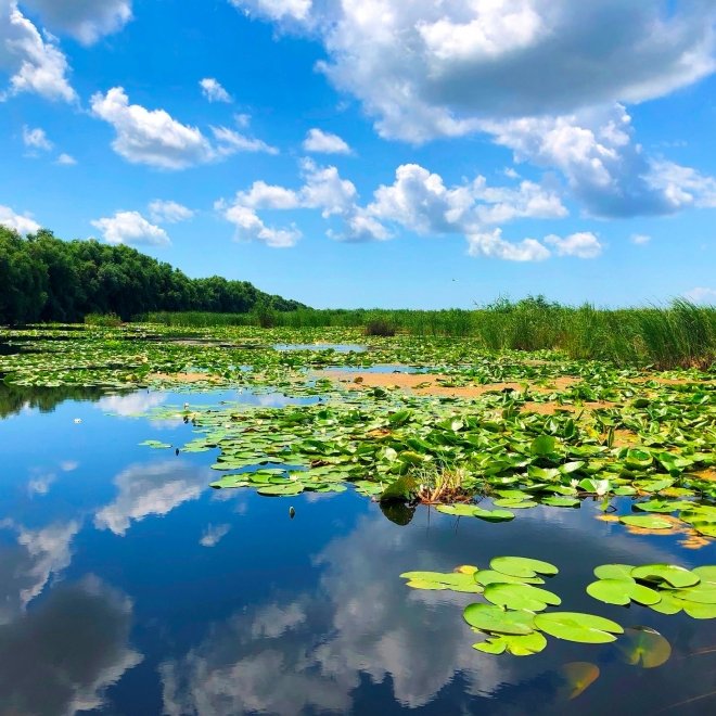 Buna Vestire in Delta Dunarii, Excursie o zi, 25 martie