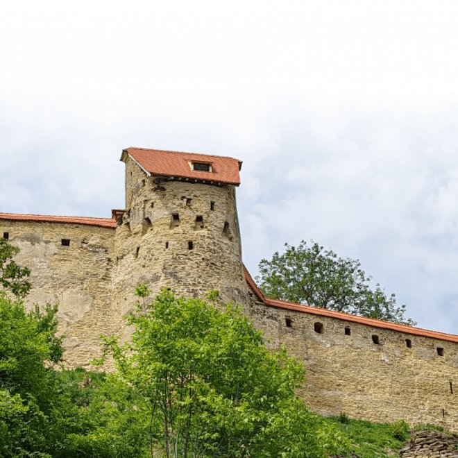 Excursie o zi - Comorile Saschizului, 22 Martie 