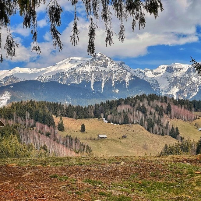 Oferta: 50% Reducere la a 2-a Persoana 💣 Excursie o zi - Castelul Bran - Amfiteatrul Transilvaniei, 13 Iulie