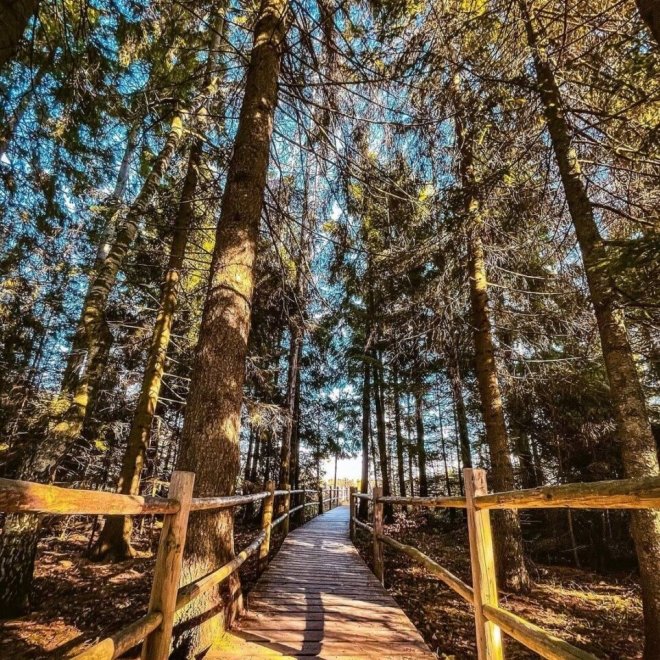 Oferta: 50% Reducere la a 2-a Persoana 💣 Excursie o zi - Lacul Sfanta Ana si Tinovul Mohos, 30 August 