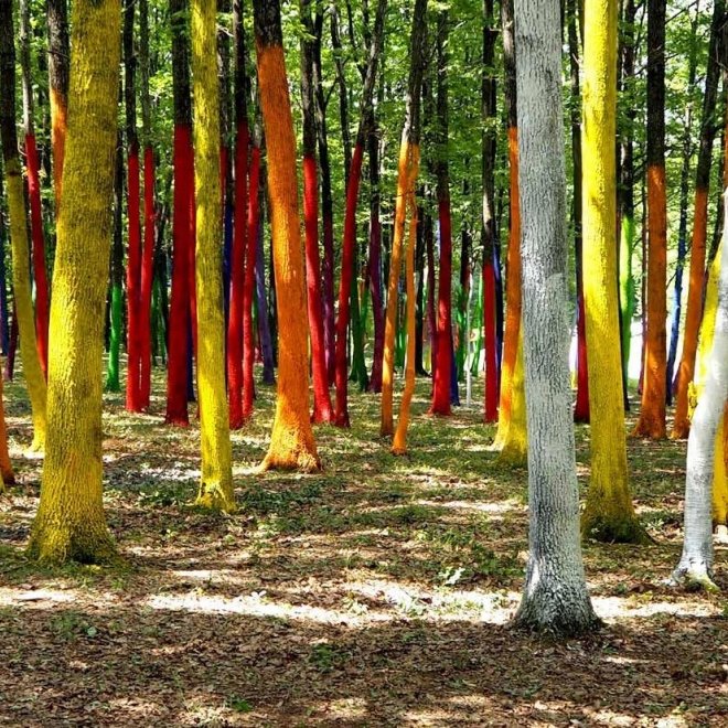 Oferta: 50% Reducere la a 2-a Persoana 💣 Excursie o zi - Taramuri de poveste: Castelul Vrajitoarelor, Padurea colorata, Casuta Rasturnata si Manastirea Polovragi, 31 August 