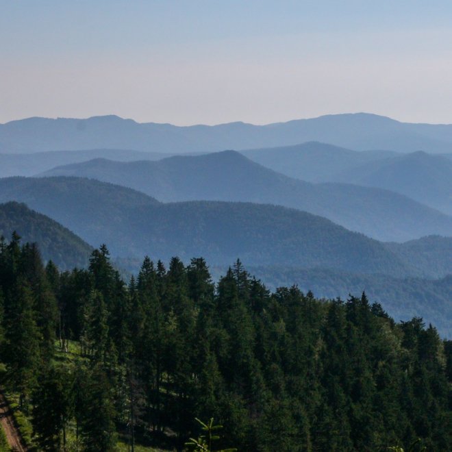 Excursie 3 zile - Rusalii All-Inclusive in Muntii Bretcului 