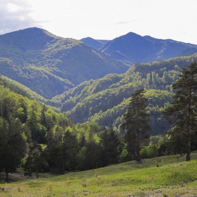 Excursie 3 zile - Rusalii All-Inclusive in Muntii Bretcului 