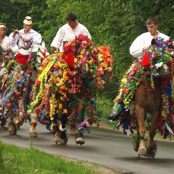 🍂✨ Petrecem Mihail si Gavril in Maramures! 07 – 09 noiembrie 
