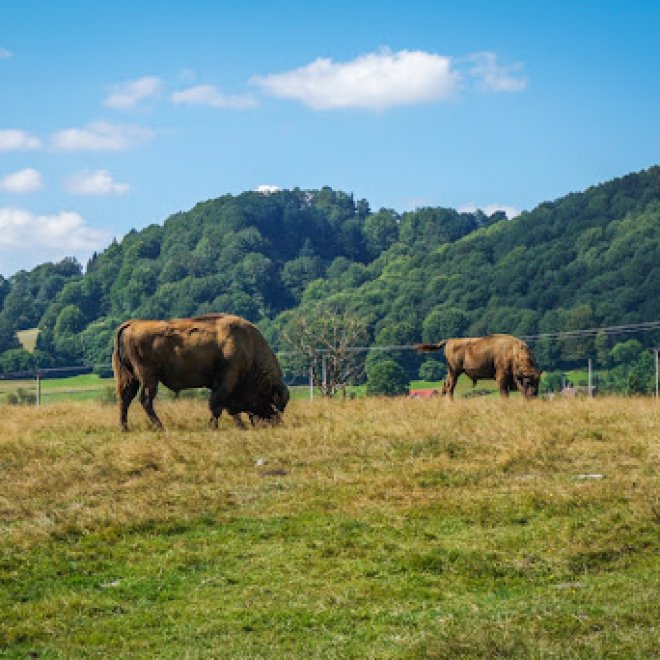 Excursie de o zi, 28 sept.: Valea Zimbrilor - Barajul Siriu - Valenii de Munte