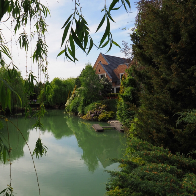 🎉🥂🍾🌸👑🍾 Răsfăț pentru doamne  - 8 martie 2026