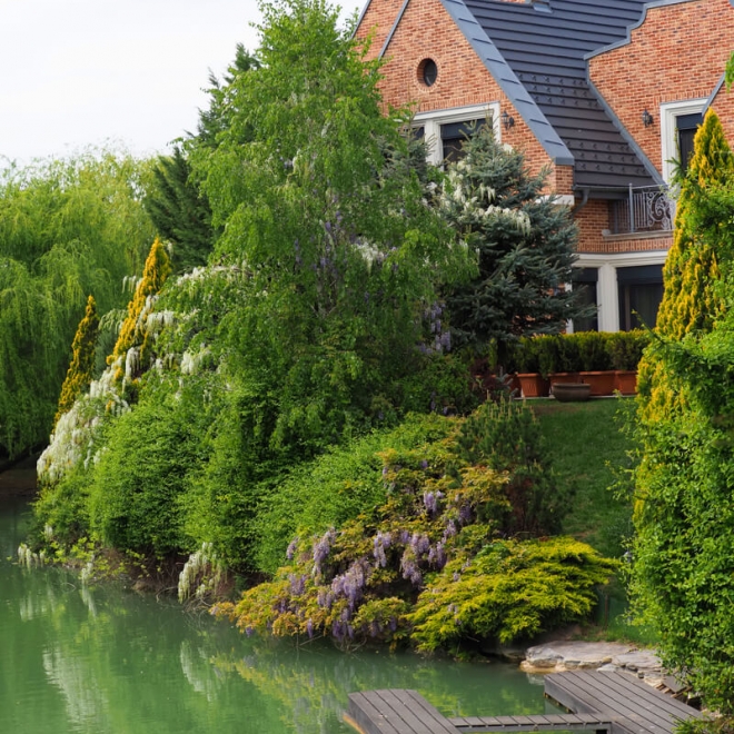 🎉🥂🍾🌸👑🍾 Răsfăț pentru doamne  - 8 martie 2026