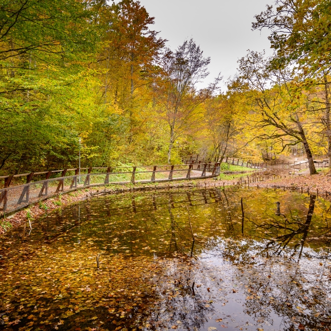 Escapadă de toamnă la Sovata – Festivalul Dovleacului - 10 - 11 octombrie 2026 |Transport autocar /microbuz