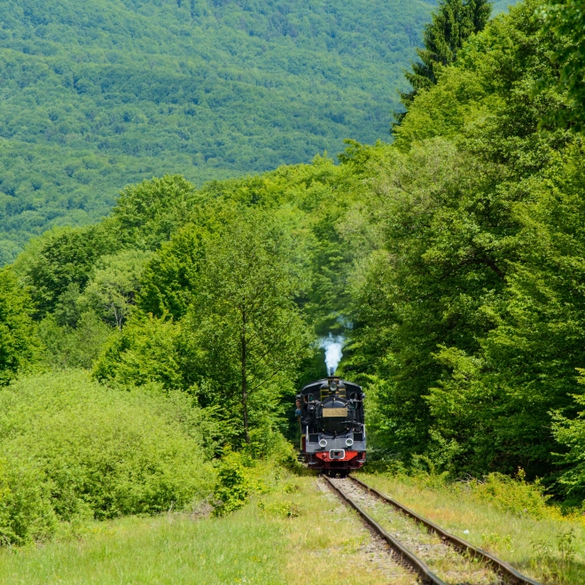 Escapadă de toamnă la Sovata – Festivalul Dovleacului - 10 - 11 octombrie 2026 |Transport autocar /microbuz