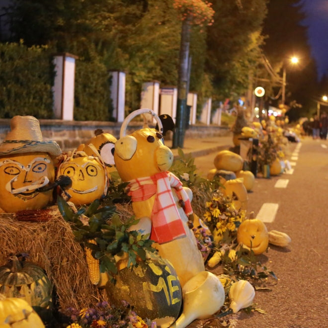 Escapadă de toamnă la Sovata – Festivalul Dovleacului - 10 - 11 octombrie 2026 |Transport autocar /microbuz