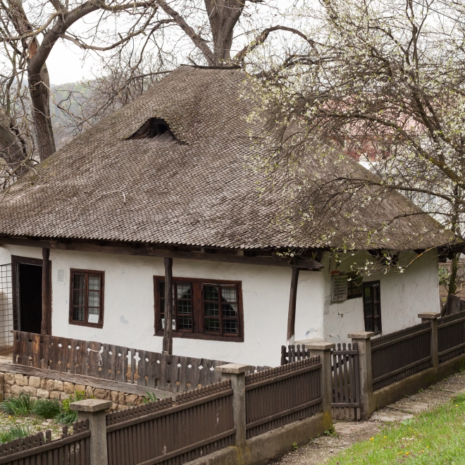 🇷🇴 PE URMELE MICII UNIRI LA Focșani 🇷🇴 - 25 ianuarie 2026 | Transport autocar /microbuz 