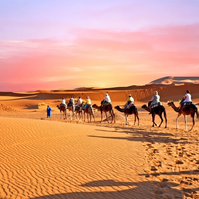 MAROC – o țară de poveste ✨ 7 - 14decembrie 2026