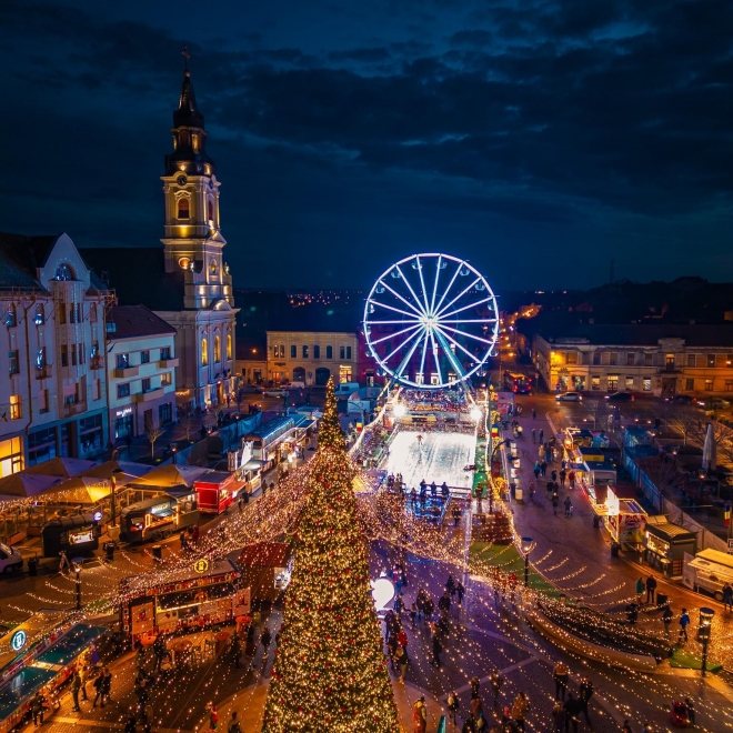 🎄 Crăciun in Apuseni la Conacul Peștera Urșilor 23–26 decembrie 2026 | 4 zile și 3 nopți | Transport autocar 