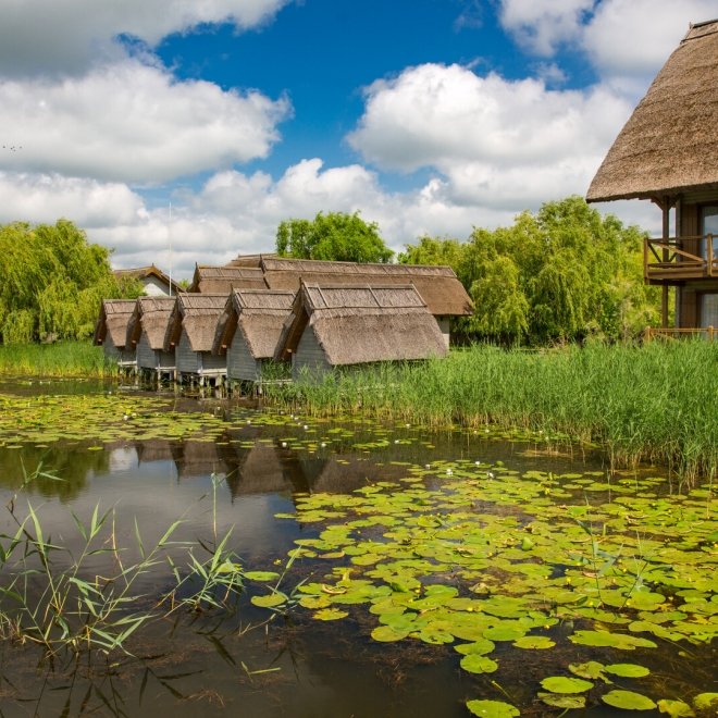 Excursie sejur 2 zile in Delta Dunarii, 29-30 septembrie, cu autocarul, cazare cu demipensiune