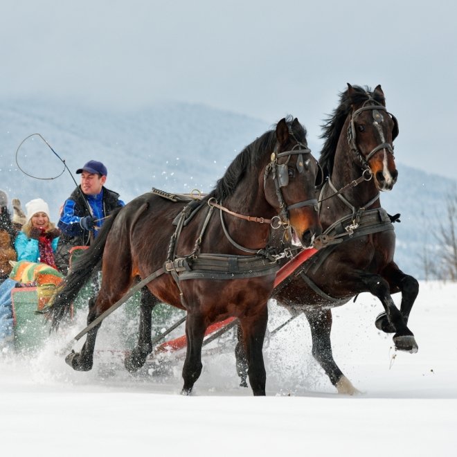 Revelion in Bucovina, Hotel Adristel Vatra Dornei, 3 nopti (30.12 - 02.01), transport Autocar