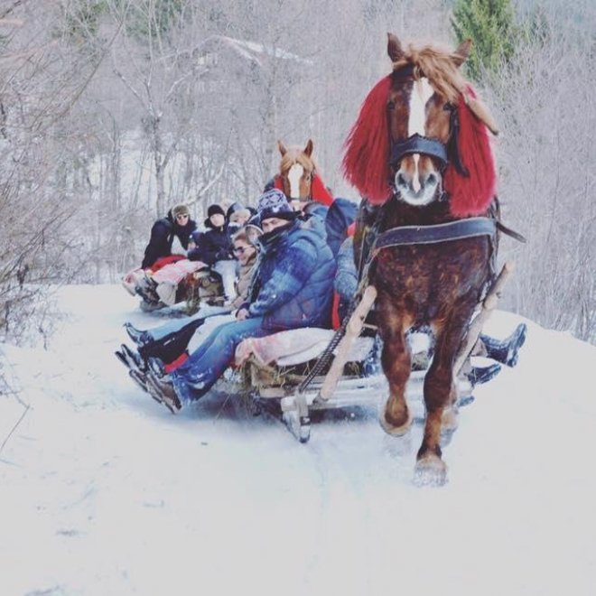 Revelion in Bucovina, Hotel Adristel Vatra Dornei, 3 nopti (30.12 - 02.01), transport Autocar