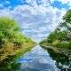 Buna Vestire in Delta Dunarii, Excursie o zi, 25 martie