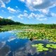 Buna Vestire in Delta Dunarii, Excursie o zi, 25 martie