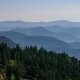 Excursie 3 zile - Rusalii All-Inclusive in Muntii Bretcului 
