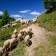 Excursie 3 zile - Rusalii All-Inclusive in Muntii Bretcului 