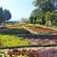 Excursie 1 zi Balcic - orașul de pe Coasta de Argint - 27 sept. 2025