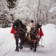 🎄 Pachet All-Inclusive de Craciun in Maramures, 23-27 decembrie 2025 (4 nopti)