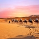 MAROC – o țară de poveste ✨ 7 - 14decembrie 2026