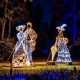🎄 MAGIA CRĂCIUNULUI LA BUCUREȘTI - 6 si 13 decembrie 2026