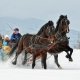 Revelion in Bucovina, Hotel Adristel Vatra Dornei, 3 nopti (30.12 - 02.01), transport Autocar